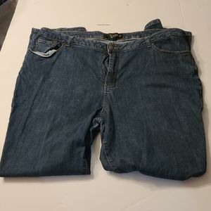 Venezia size 24 long blue jeans.